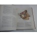  ATLAS  OF  HUMAN  ANATOMY  vol. III ( 3 ) -  R. D.  SINELNIKOV  